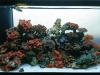 aquos-gallery-06